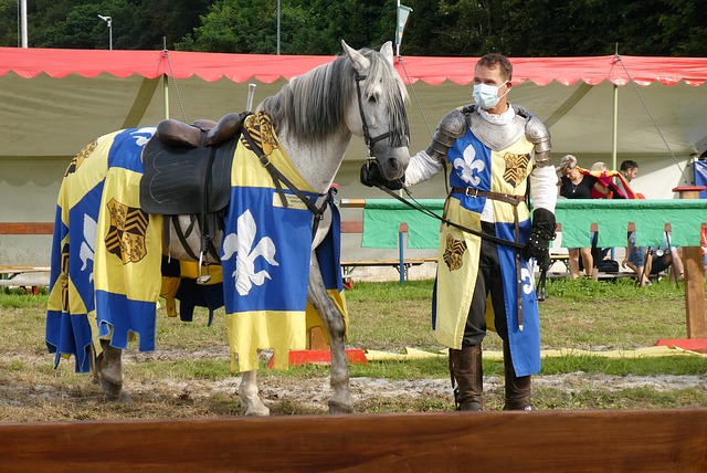 法与巴黎圣 法与巴黎圣