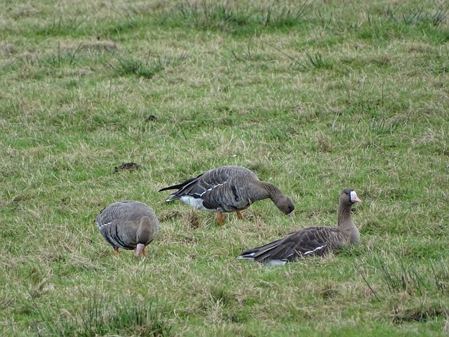 这些策略不 这些策略不