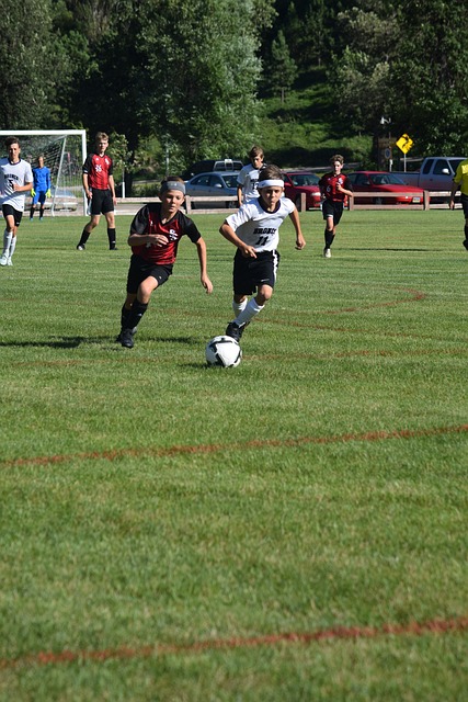 与自己国家 与自己国家