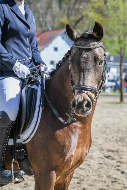 这场比赛不 这场比赛不