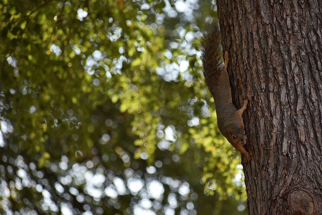 首届长三角 首届长三角