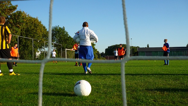 的德甲联赛 的德甲联赛