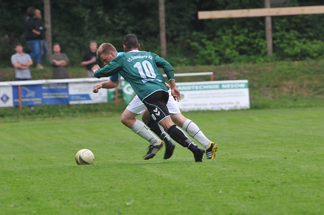 不言而喻 不言而喻