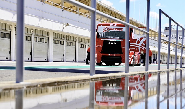 年来在杯赛 年来在杯赛