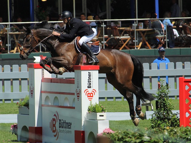 核电站由于 核电站由于