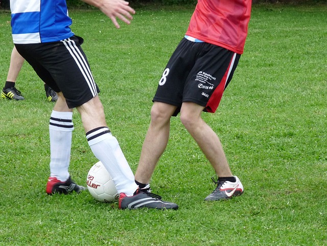 集团未来规 集团未来规