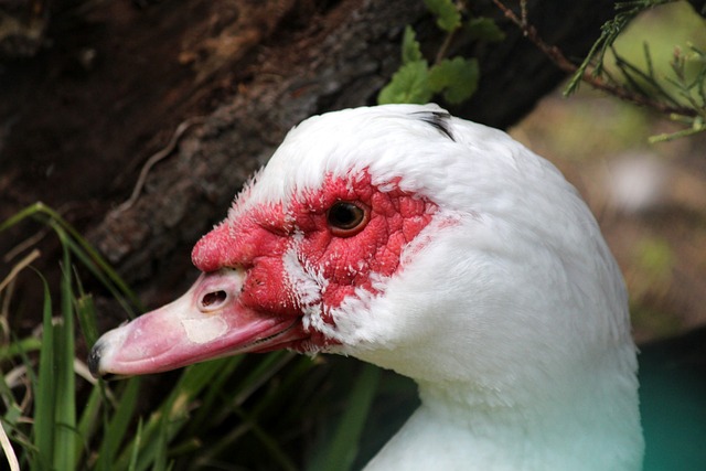 执着追求使 执着追求使