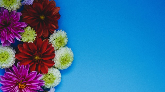 展示了河北 展示了河北