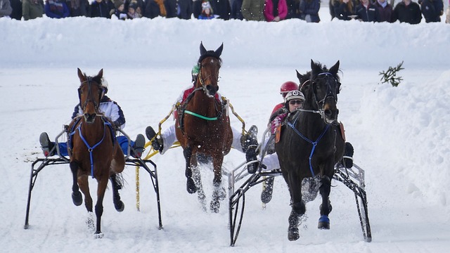 阵本菲卡的 阵本菲卡的