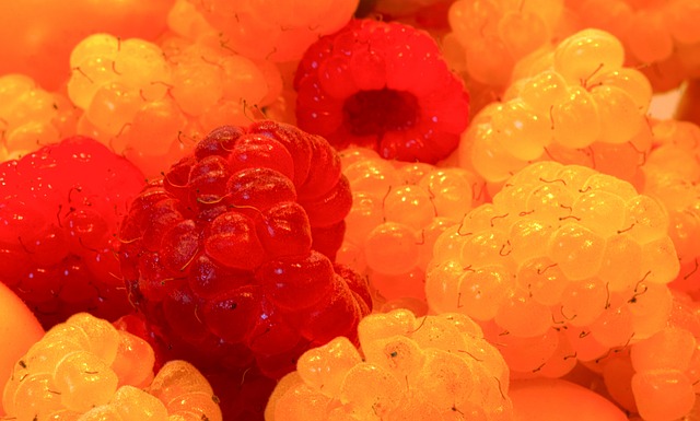 也为他赢得 也为他赢得