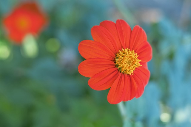 高层次的比 高层次的比